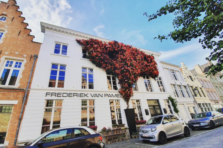 Winter Flower decoration at Frederiek Van Pamel shop in Bruges