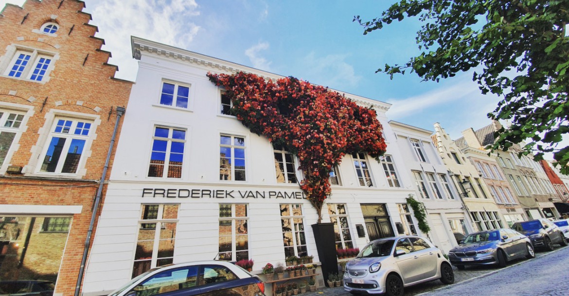 Winter Flower decoration at Frederiek Van Pamel shop in Bruges