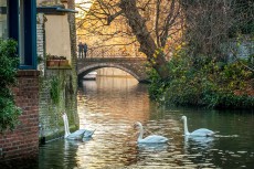 The inner canals and old bridges