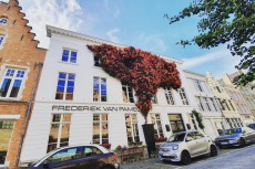 Winter Flower decoration at Frederiek Van Pamel shop in Bruges